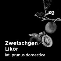 Zwetschge Prunus domestica Schroll Brennerei
